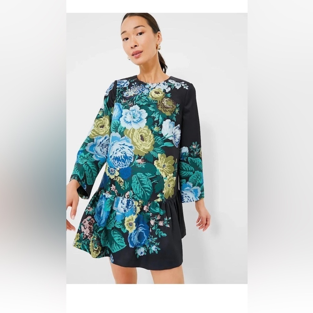 Tuckernuck Pierce Floral Mini Dress XXS NWT Black Blue Green Tiered Cotton - Picture 2 of 13